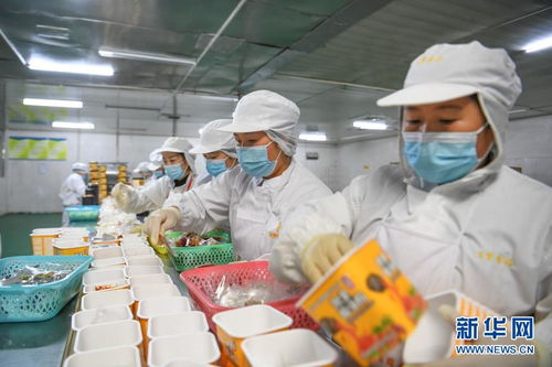 贵州麻江 食品企业创新发展促就业助增收 图片频道